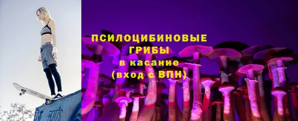 прущие грибы Вязники